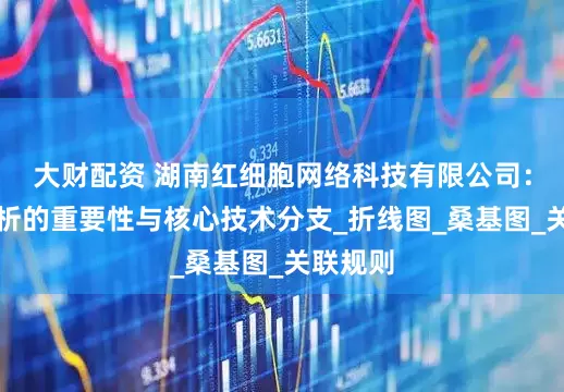 大财配资 湖南红细胞网络科技有限公司：数据分析的重要性与核心技术分支_折线图_桑基图_关联规则