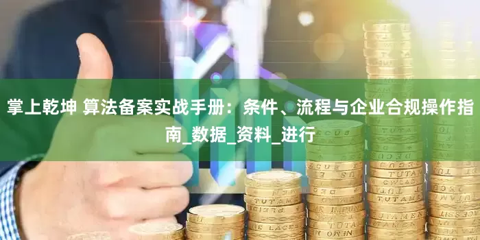 掌上乾坤 算法备案实战手册：条件、流程与企业合规操作指南_数据_资料_进行